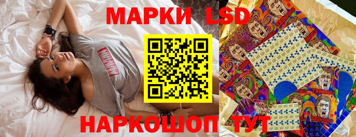 Наркотические марки 1,8мг  Наркотические марки 1,8мг  Зима  Вход с VPN 