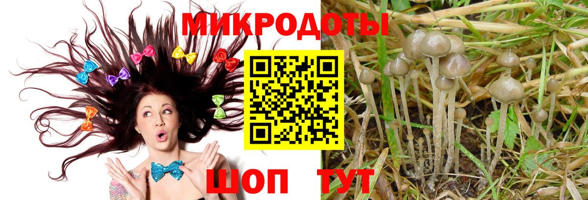 Зима  Галлюциногенные грибы мухоморы  Псилоцибиновые грибы мухоморы  Вход с VPN 